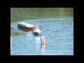 Model Tug Competition
